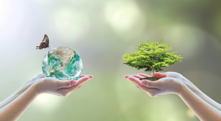 CSR活動のイメージ